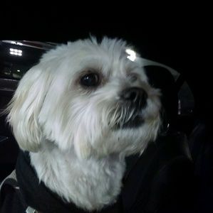 Meet your Posher, Mike